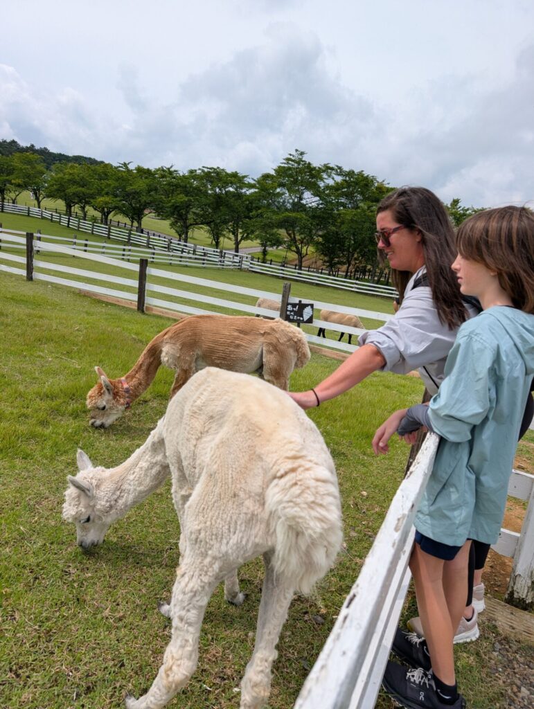 Visitors meeting farm animals at a mountain farm in Gifu